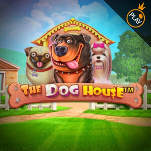 Beliebtes Casino-Spiel bei Gamblerina